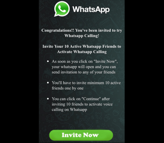 timo whatsapp