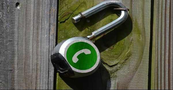 WhatsApp: "Error" permite manipular tus mensajes enviados ¡Alerta!