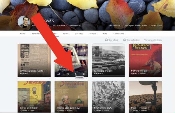Última llamada: Flickr comienza a borrar tus fotos antiguas mañana