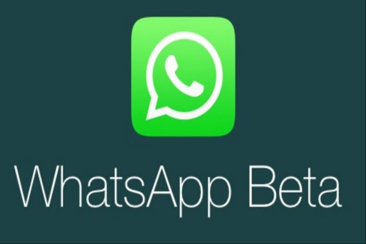 Error beta de WhatsApp expulsa a los s de los grupos